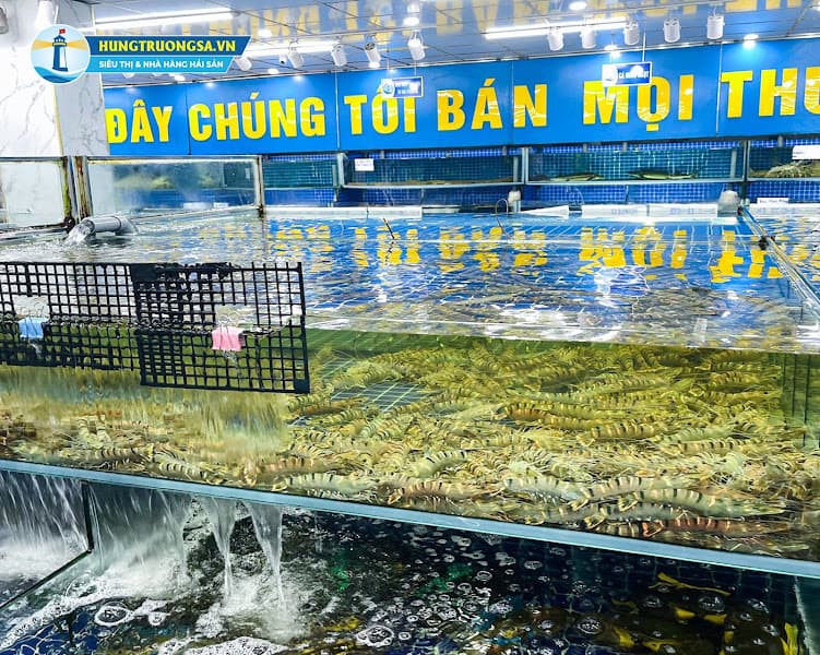 Hình ảnh Hải Sản Hùng Trường Sa - 5