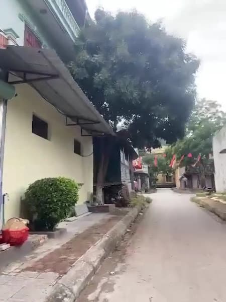 Hình ảnh Bún Chả Hoàng Nam - 3