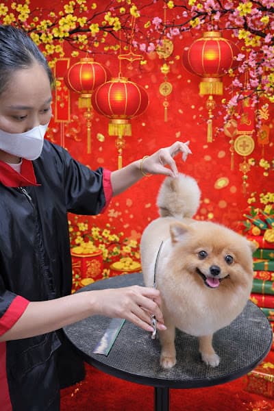 Ảnh bìa HOÀNG CHIẾN PET SHOP