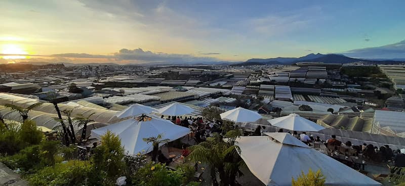 Hình ảnh Đà Lạt Hoàng Hôn Trại Mát - 2