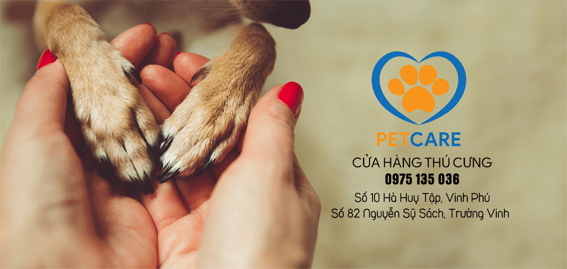 Hình ảnh PetCare - Pet shop, tỉa lông, tắm, tiêm phòng, bán thức ăn và phụ kiện chó mèo - 5
