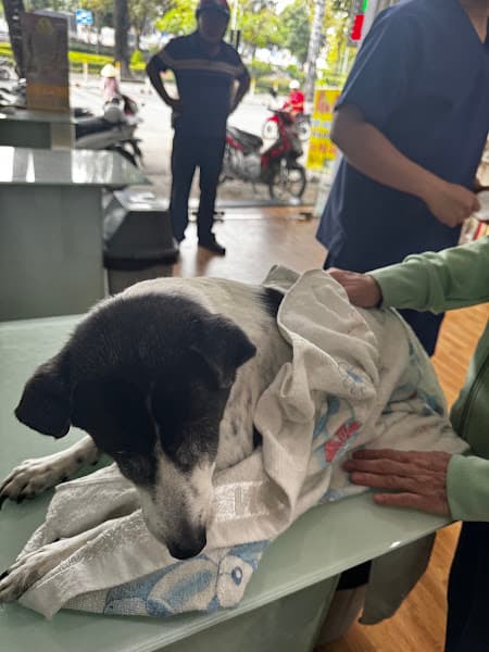 Hình ảnh Phòng Khám Thú Y Pet Phạm Phước - 3