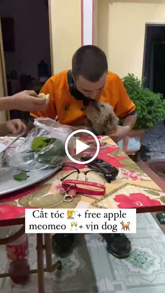 Hình ảnh Quán Tóc Hoàng Tình Barber - 3