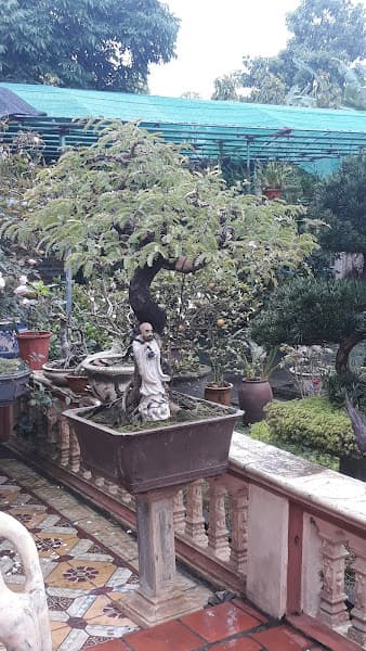 Hình ảnh Nhà hàng Thắng Thoa - 5