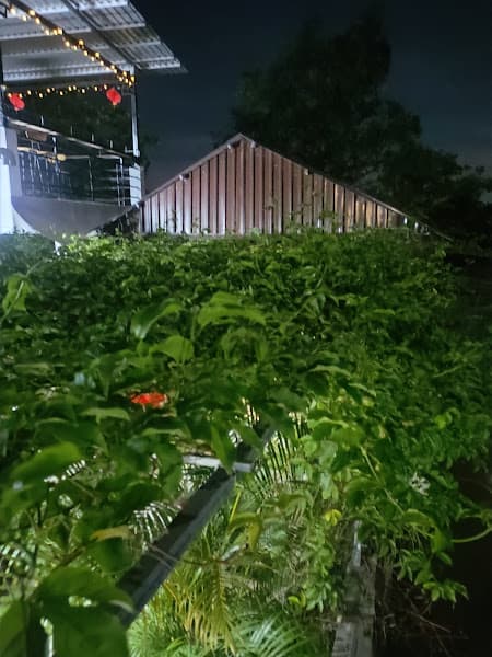 Hình ảnh High Coffee - 5