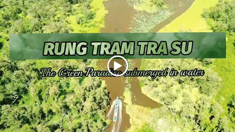 Hình ảnh Rừng Tràm Trà Sư - 7