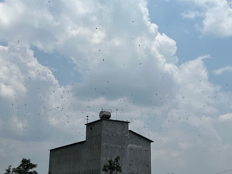 Hình ảnh Công ty TNHH Yến Ba Phi (Yến Sào Ba Phi Tp HCM) - 3