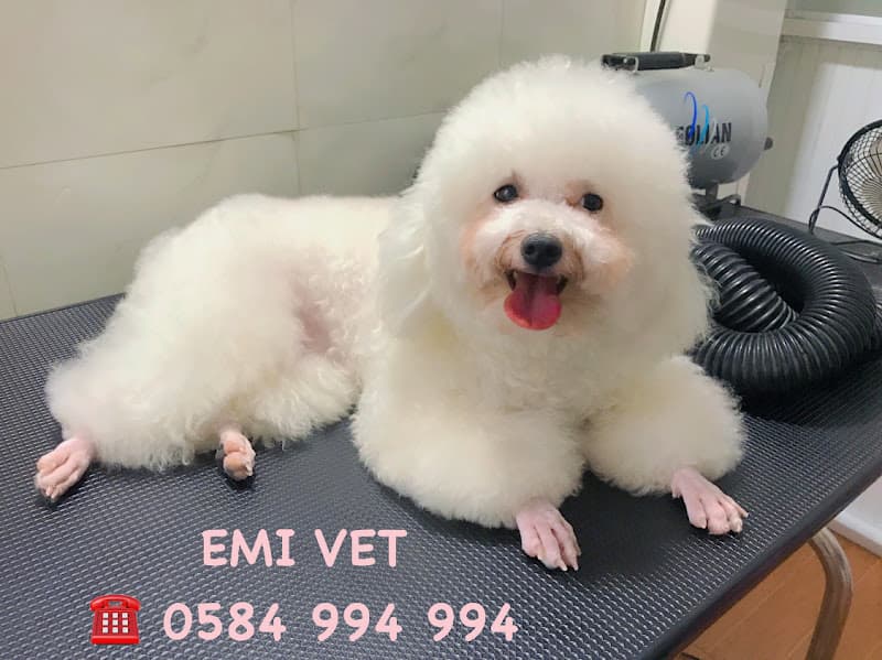 Hình ảnh PHÒNG KHÁM THÚ Y EMI VET - THÚ Y XÃ XUÂN LỘC, GIA RAY , ÔNG ĐỒN - 2