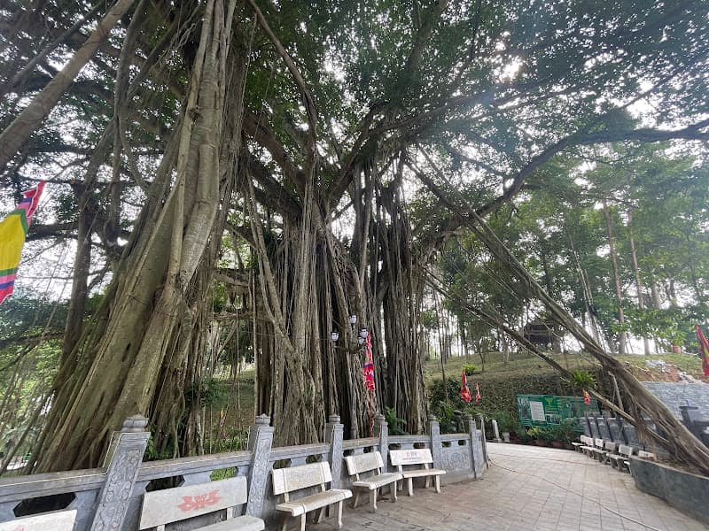 Đền Thượng Lào Cai