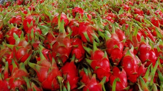 Hình ảnh Chuyên Cung Cấp Sỉ & Lẻ Các Loại Trái Cây - 2