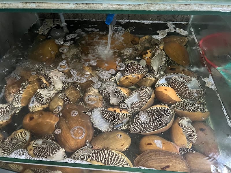 Hình ảnh Nhà hàng Lượng Thường - 5