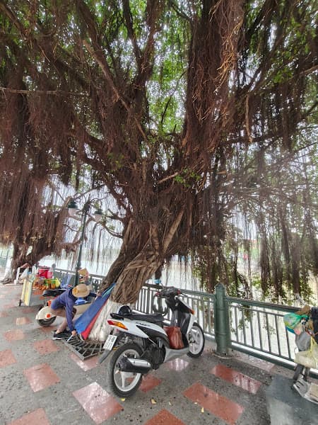 Hình ảnh Phố đi bộ Hải Phòng - 4