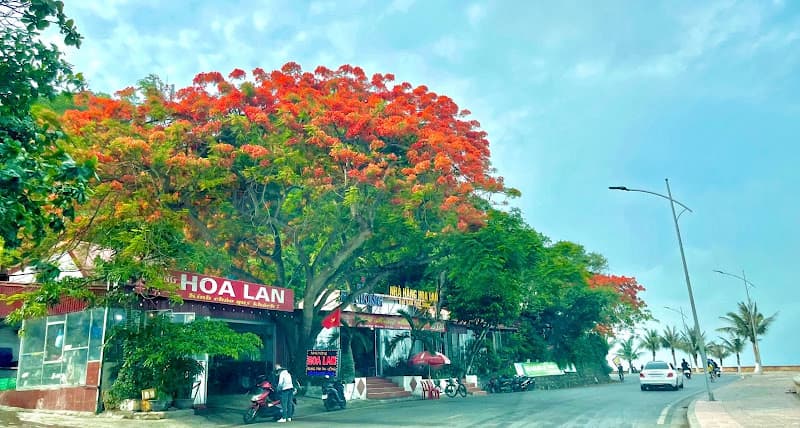 Hình ảnh Nhà Hàng Hải Sản Hoa Lan - 6