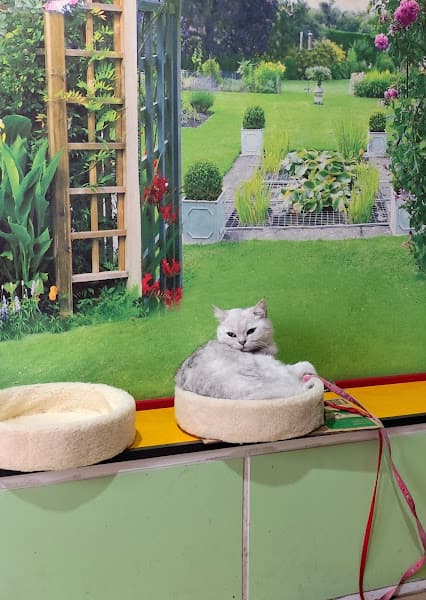 Hình ảnh Tiệm thú cưng Hachiko - 4