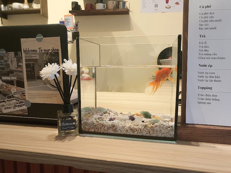 Hình ảnh Chiêu cafe - 2