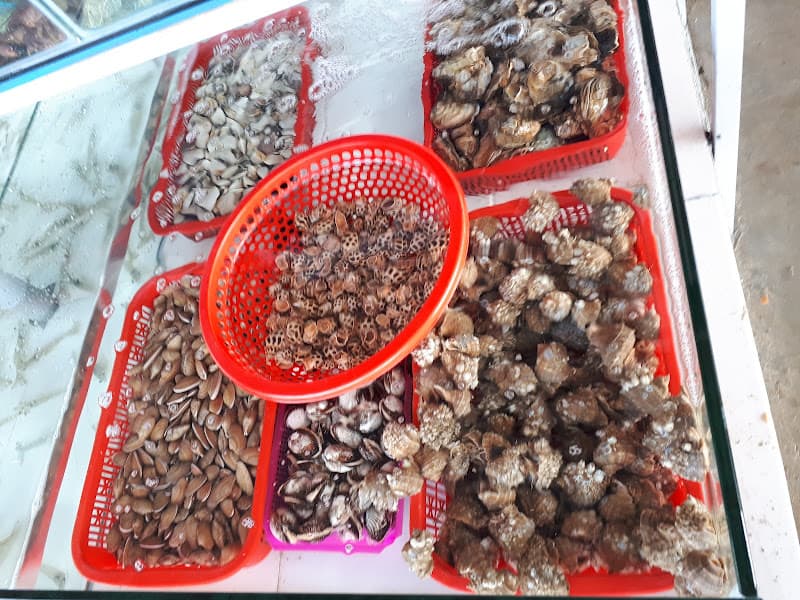 Hình ảnh Quán Tuân Béo Mực Nhảy, Hải Sản Tươi Sống và Các Món Nhậu Bình Dân - 6