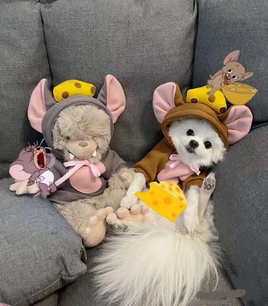 Hình ảnh LuBu PetStore - Siêu thị & Spa thú cưng - 4