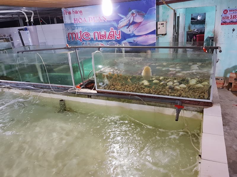 Hình ảnh Nhà hàng Hoà Duân - 3