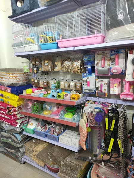 Hình ảnh Little Petzone cơ sở 1 - 8