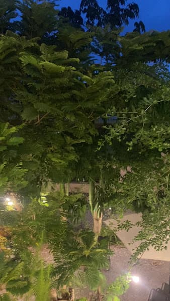 Hình ảnh Tiệm cà phê Nhà Có Khách - 3