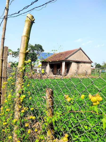 Hình ảnh Thành cổ Châu Sa - 3