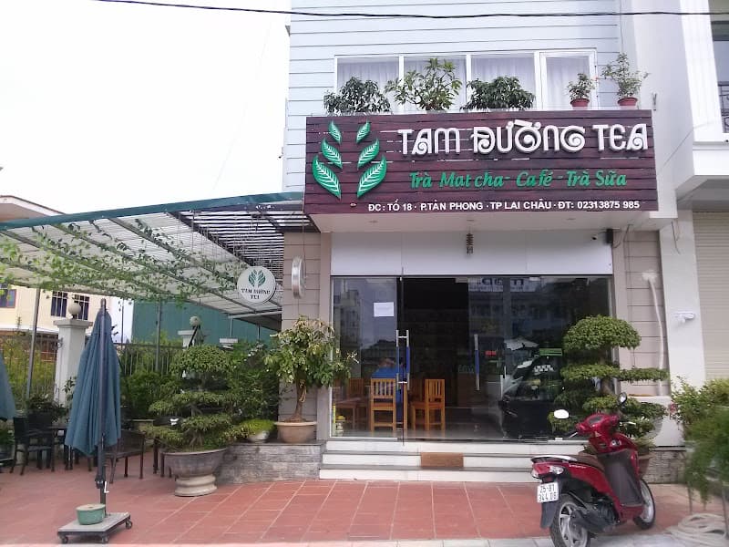Ảnh bìa Tam Duong Tea