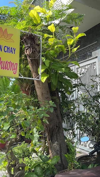 Hình ảnh Quán chay Cô Phương - 4