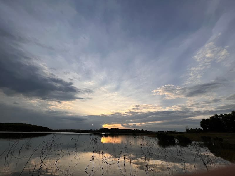 Hình ảnh KHẼ CHẠM CAMP ART - 3