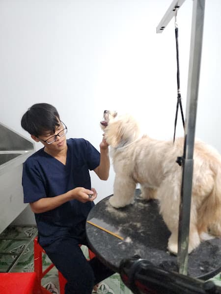 Hình ảnh Hường Thương Pet - 3