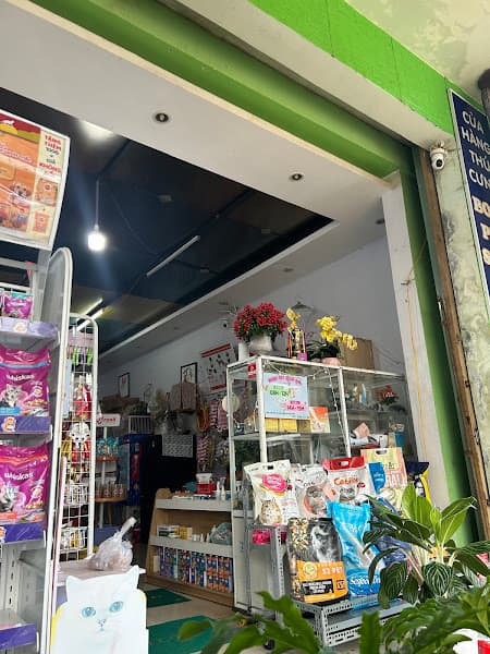 Hình ảnh Mua bán chó mèo Buôn Ma Thuột - Boss Pet Shop BMT - 2