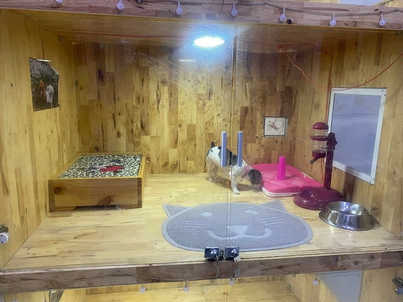 Thế Giới Thú Cưng Buôn Ma Thuột