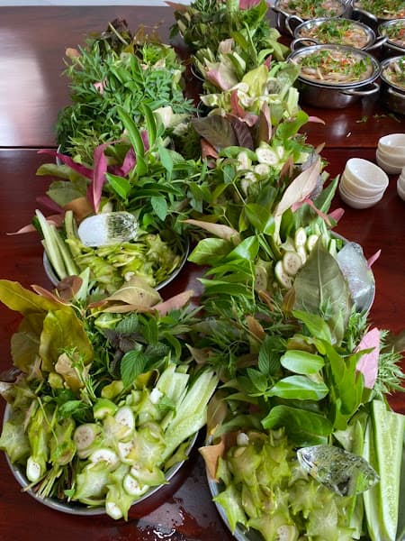 Hình ảnh BÒ TƠ THÀNH PHÔ - 4