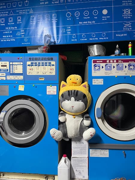 Hình ảnh GIẶT LÀ 247 Cẩm Phả Quảng Ninh - 4