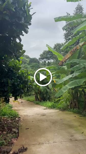 Hình ảnh Vườn Vinh Nguyệt - 2