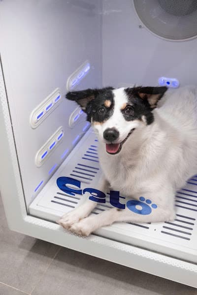 Hình ảnh Ceto Pet - Cửa hàng thú cưng - 4