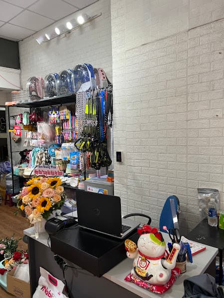 Hình ảnh NHẬT MINH PETHOUSE - 3