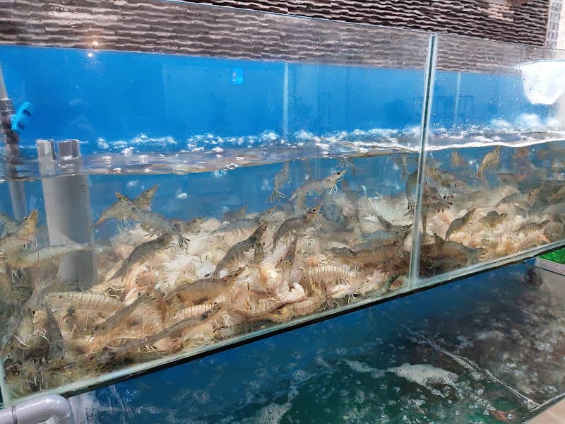 Hình ảnh NHÀ HÀNG CO-RO-NA - 4