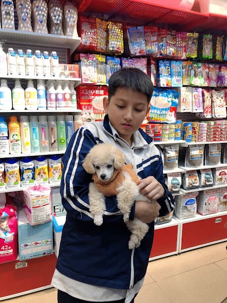 Hình ảnh Pet Mart Hải Phòng - Cửa Hàng Thú Cưng - 7