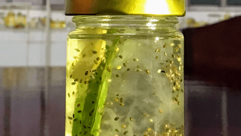 Hình ảnh Yến Sào Lai Vung - 5