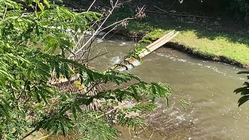 Hình ảnh Ẩm Thực Dân Tộc - 10