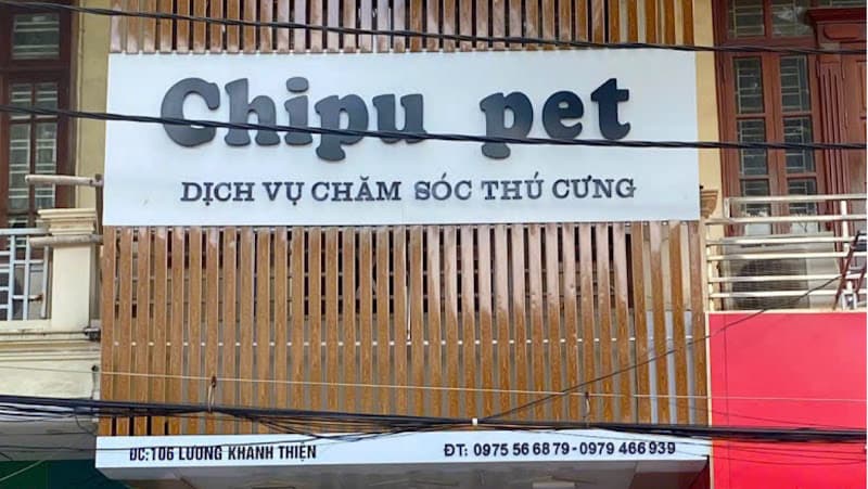 Hình ảnh Chipu Pet - Dịch vụ chăm sóc thú cưng Hải Phòng - 5
