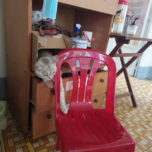 Thú Y Tây Ninh - CMT8