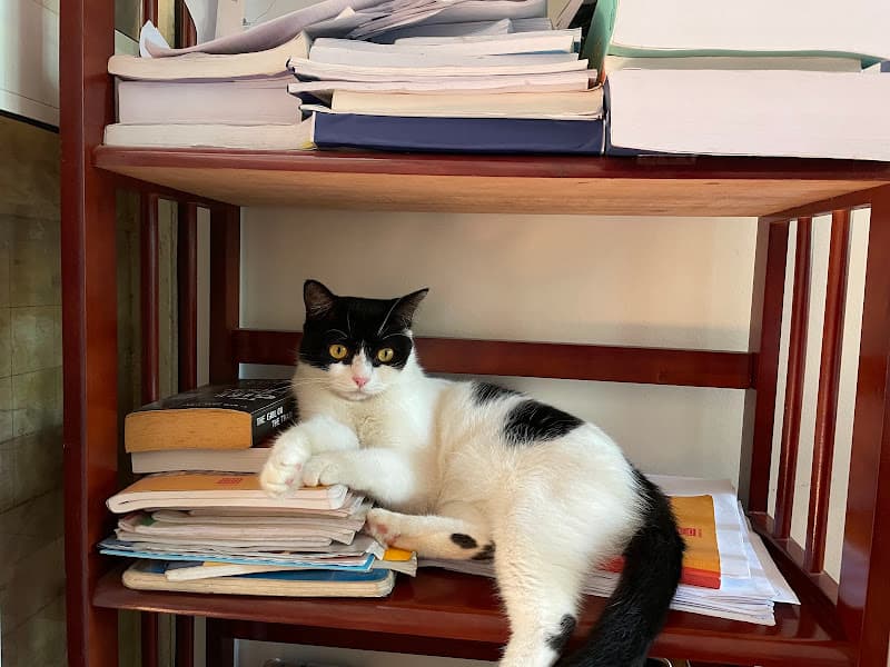 Hình ảnh Dịch vụ thú y Hope (688B Thiên Lôi) - 2