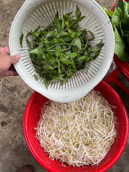 Ảnh bìa Bánh Xèo 94