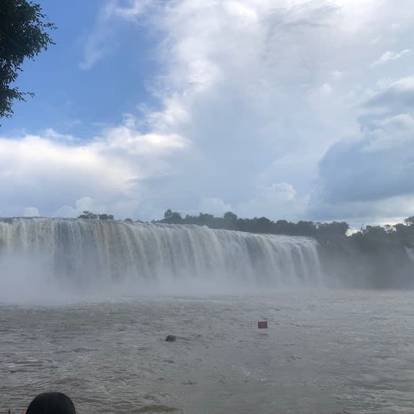 Hình ảnh VƯỜN CÂY ĂN TRÁI CHÚ BẢY- DÌ TÁM - 8