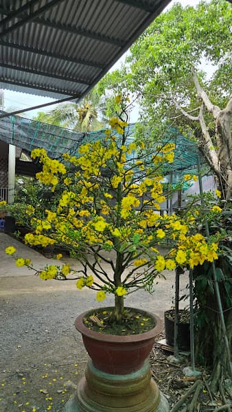 Hình ảnh Quán ăn gia đình Đào Viên - 5