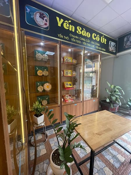 Ảnh bìa Yến sào cô Út