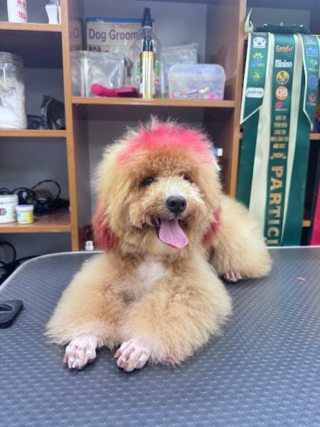 Ảnh bìa Thú Y Gia Phát