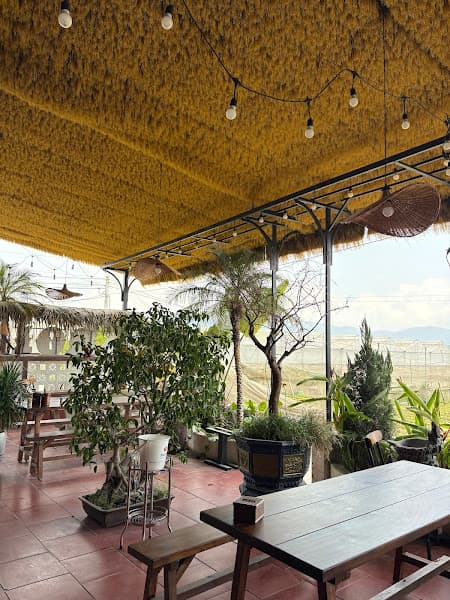 Hình ảnh QUÁN ĂN GIA ĐÌNH PE VILLA BEER GARDEN - QUÁN CƠM NIÊU - 3