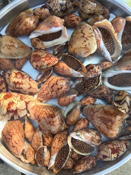 Hình ảnh Quán Ốc Bờ Kè - 4